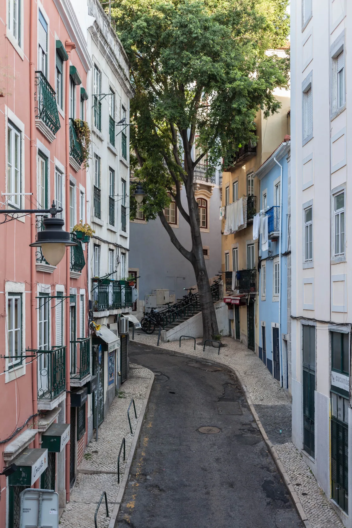 A narrow street curves between colorful buildings beneath a large tree.