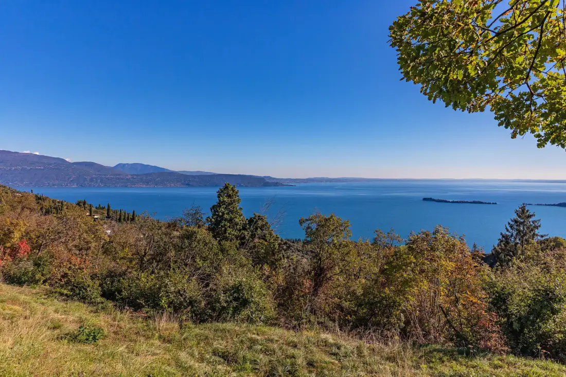 A lakeside landscape stretches beyond autumn-colored shrubs beneath a clear blue sky.