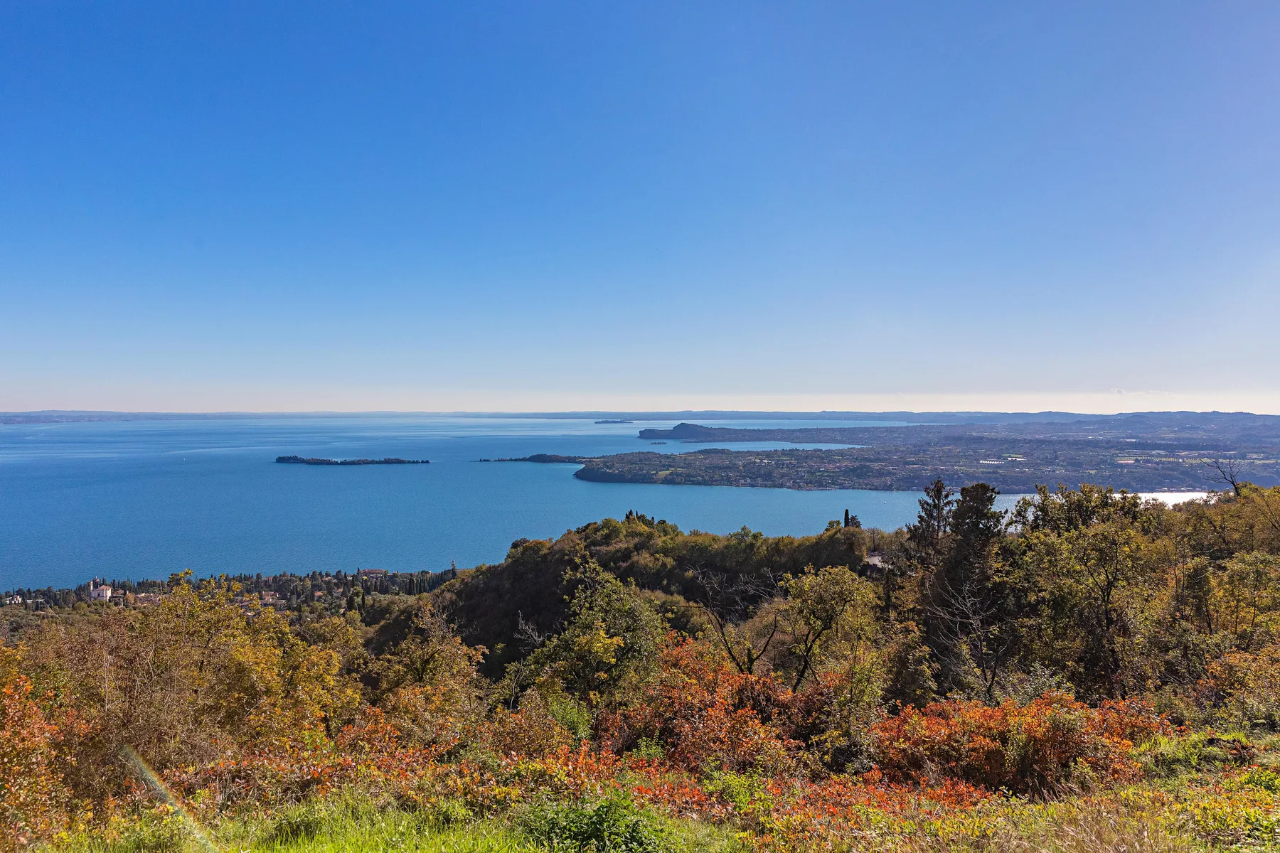 A scenic landscape overlooks blue water and distant shorelines from a wooded hillside.