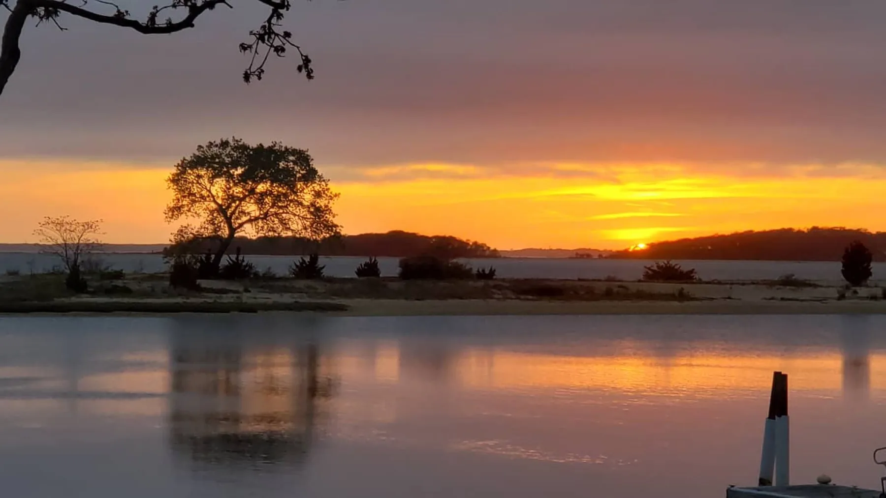A sunset glows over a calm body of water, with a tree silhouetted against the sky.