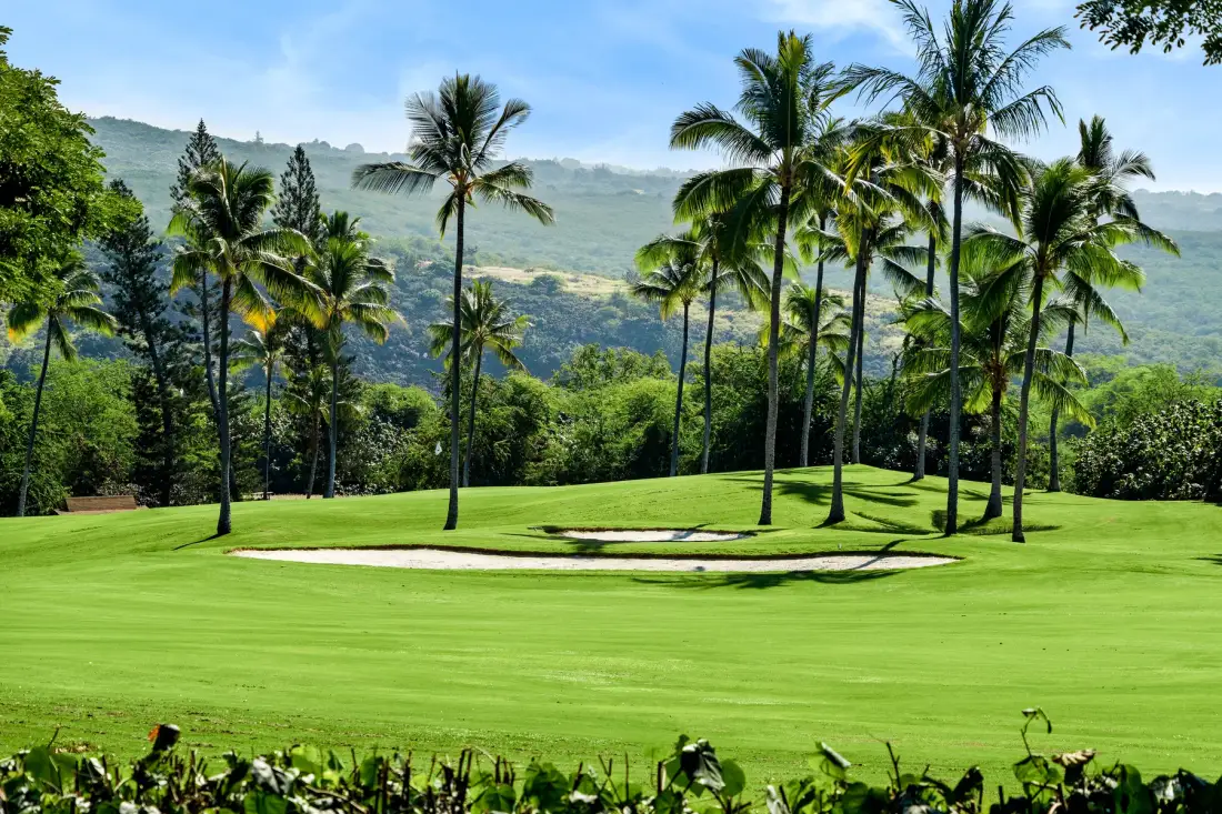 Un campo de golf verde con palmeras y una ladera boscosa al fondo.