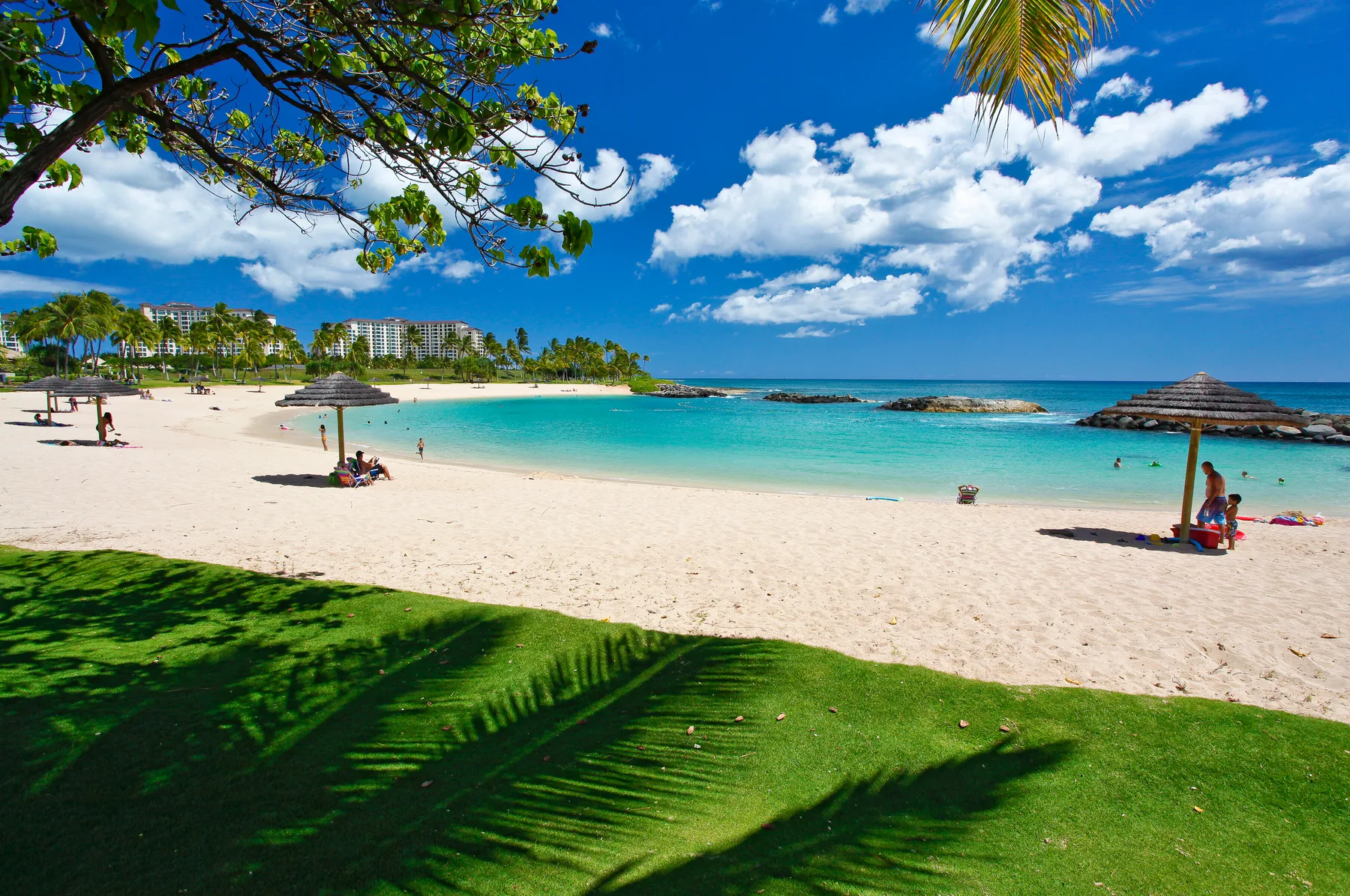 Una playa tropical con agua turquesa, arena clara y palmeras.