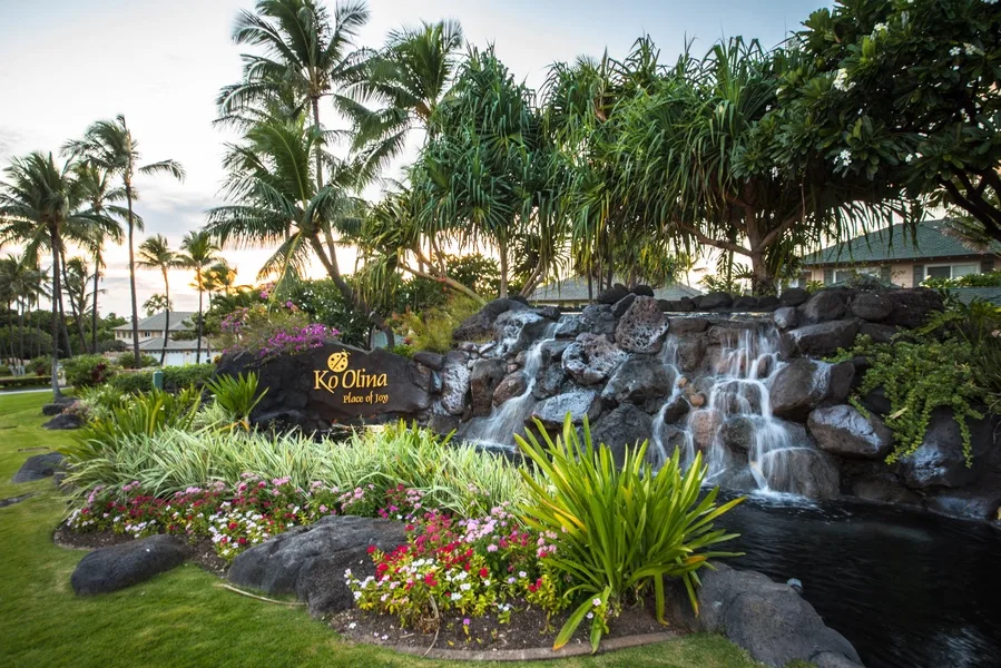 Un jardín paisajístico presenta una cascada de rocas, plantas con flores y palmeras.