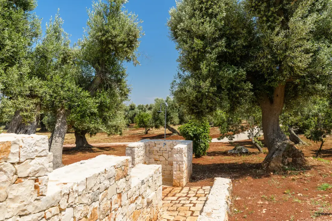 A stone path runs between low stone walls beneath leafy trees.