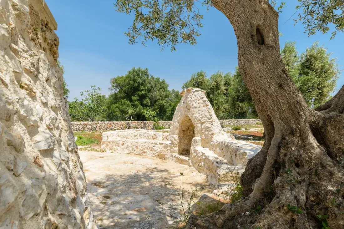 A sunlit stone courtyard with a small arched stone structure and a large tree.