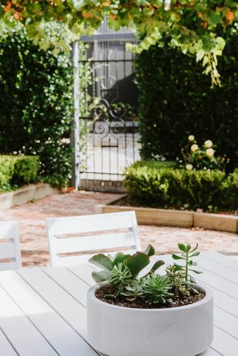Un patio de jardín con suculentas en una maceta y una puerta metálica entre vegetación.