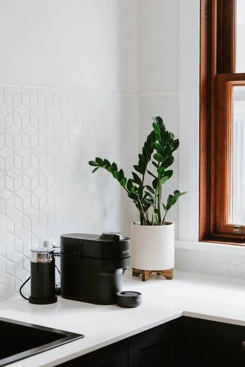 Una encimera de cocina con cafetera, fregadero y planta junto a una ventana.