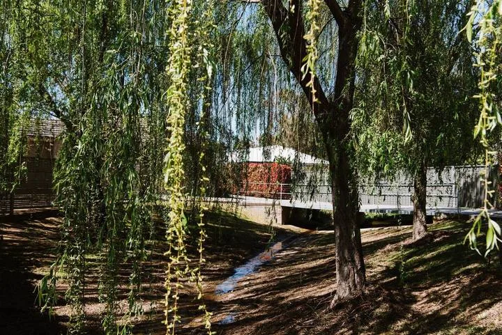 Una pasarela de madera cruza un arroyo estrecho bajo árboles frondosos.