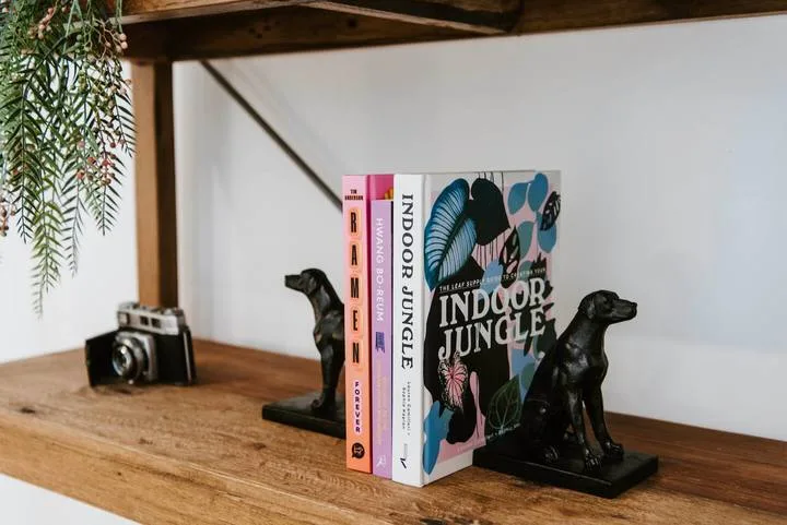 Un estante de madera exhibe libros coloridos entre dos figuras oscuras de animales.