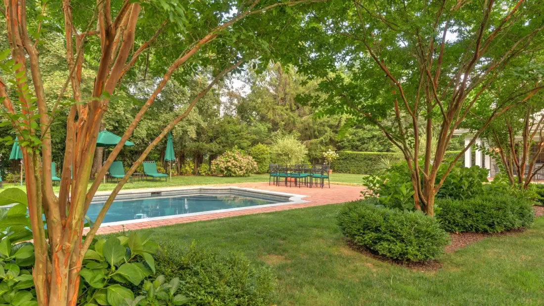 Un jardín rodea una piscina, con árboles frondosos y arbustos.