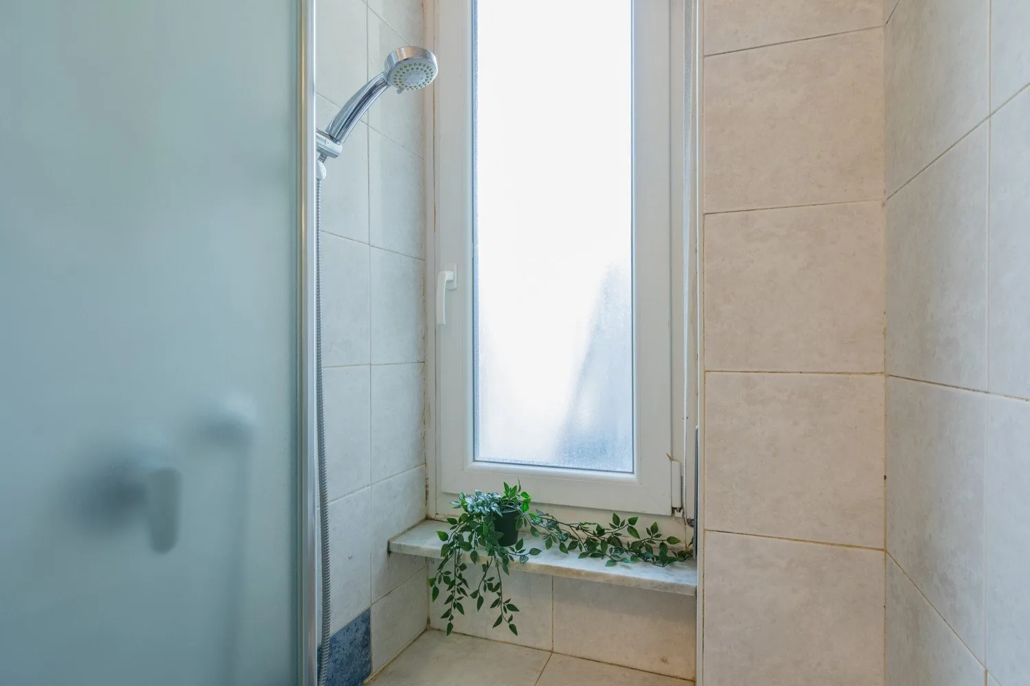 Una ducha de baño alicatada junto a un panel de vidrio esmerilado y una ventana con una planta.