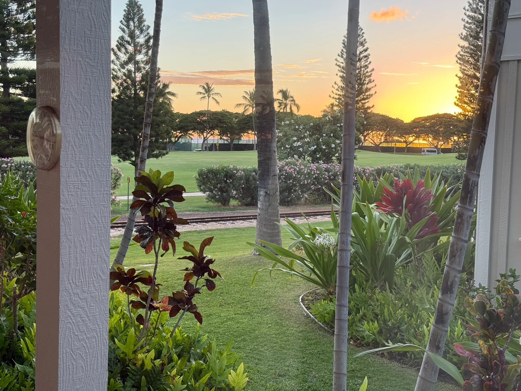 A landscaped tropical garden with palm trees and a sunset beyond the lawn.