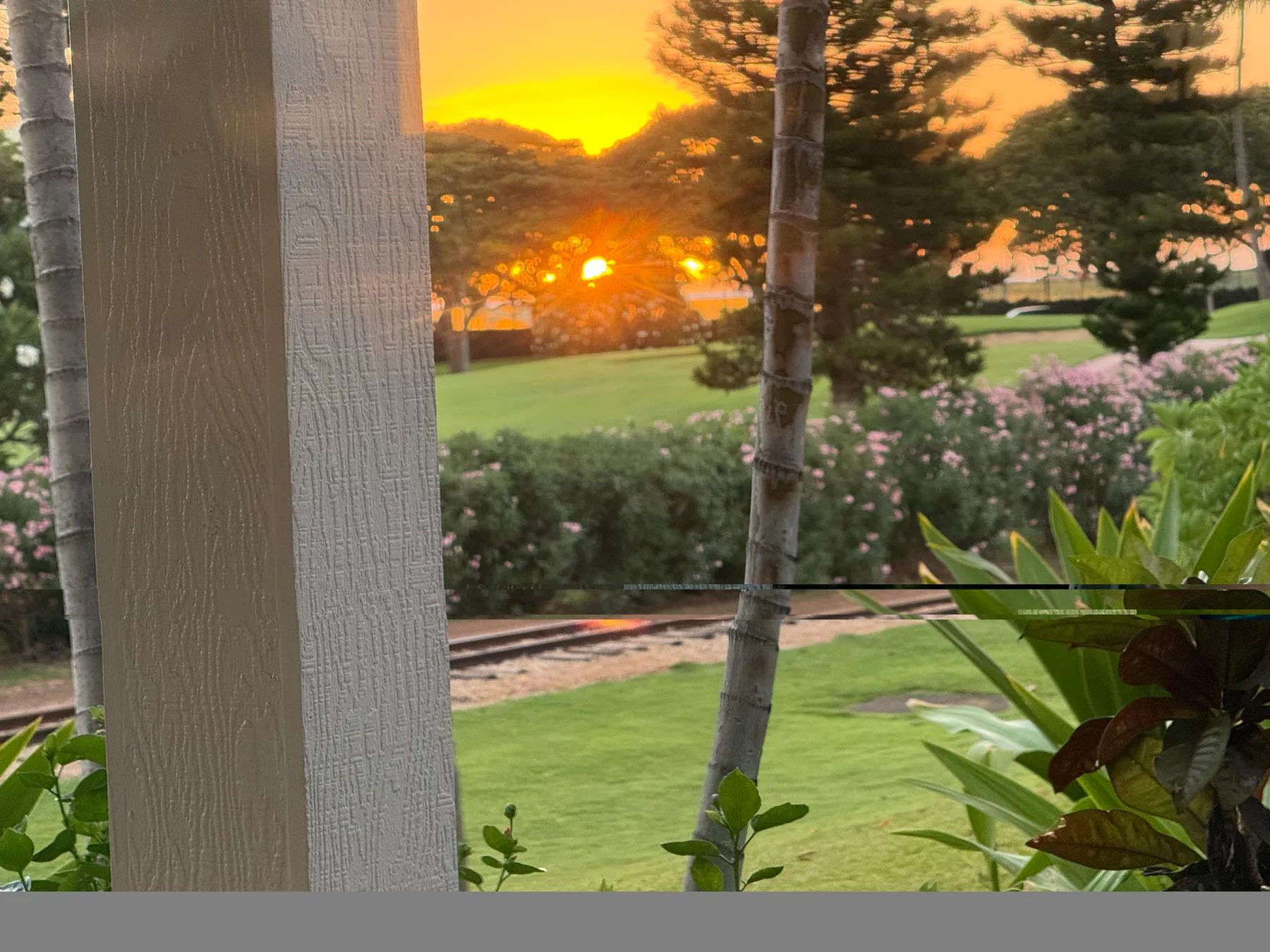 A sunset glows over a landscaped garden with trees, shrubs, and lawn.