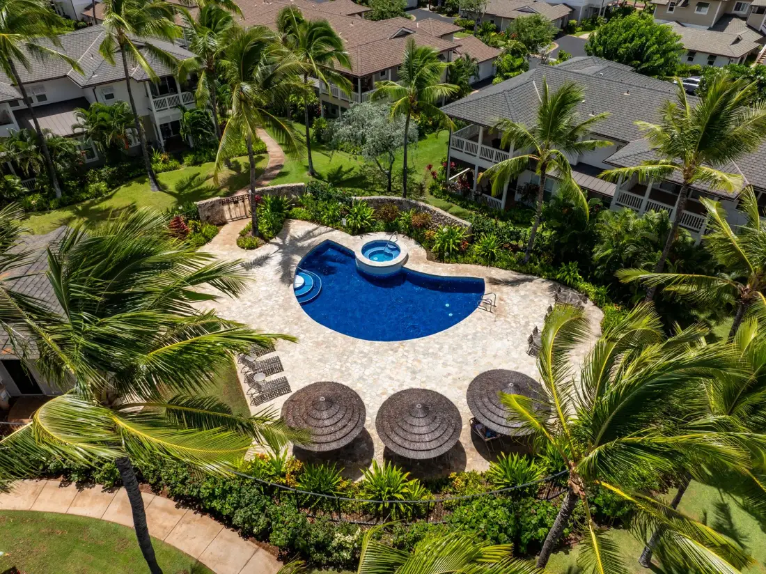 An aerial view of a swimming pool and surrounding palm trees.