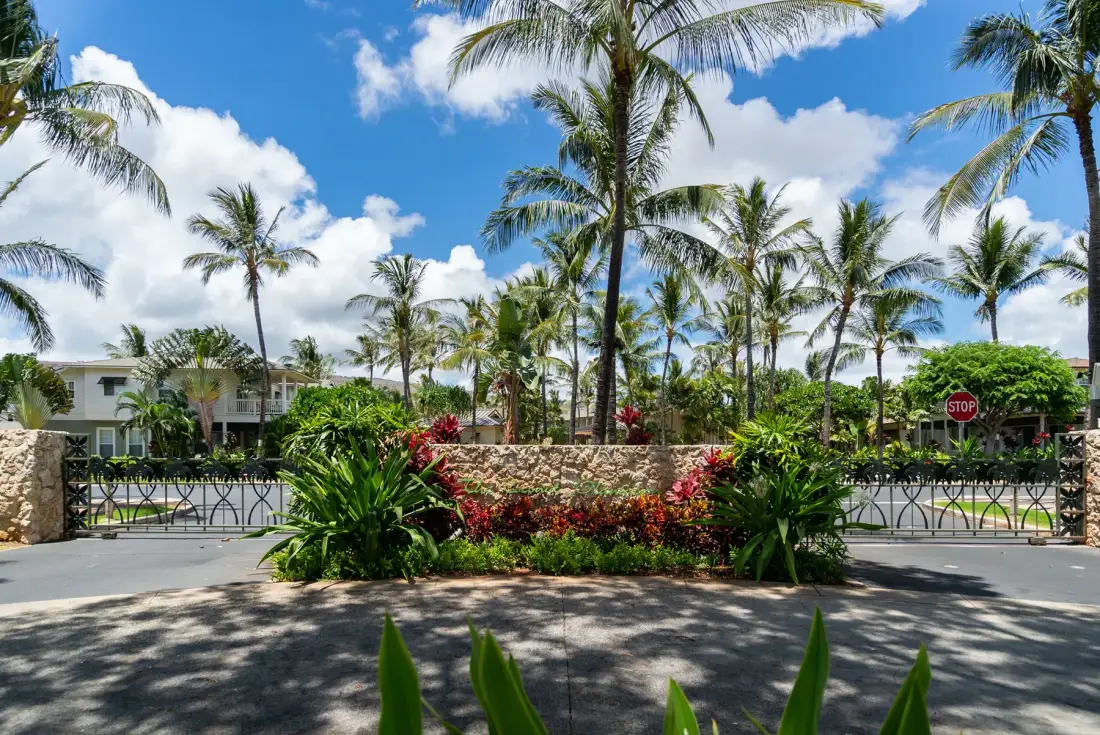 A palm-lined entrance road passes landscaped gardens and low stone walls.