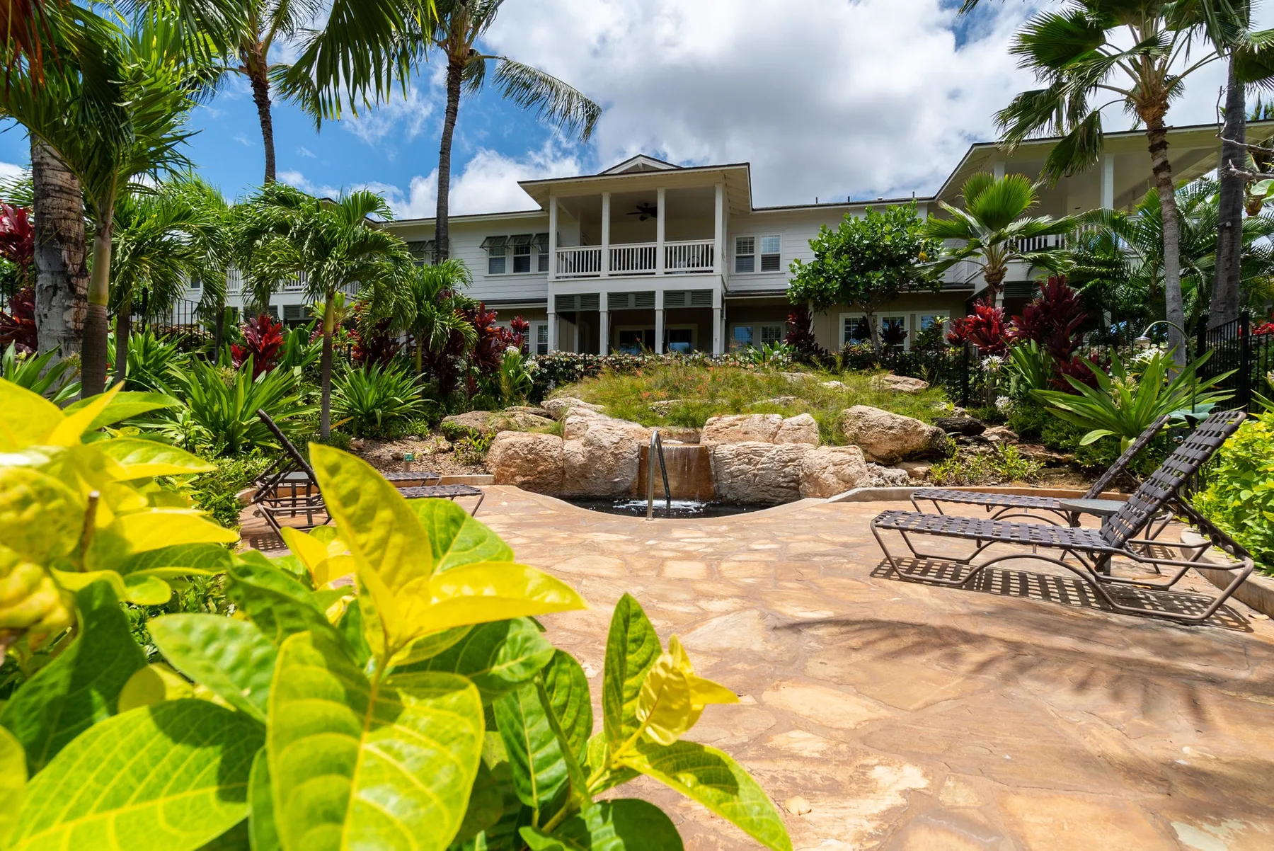 A landscaped outdoor pool area sits in front of a white building, surrounded by palms and lounge chairs.