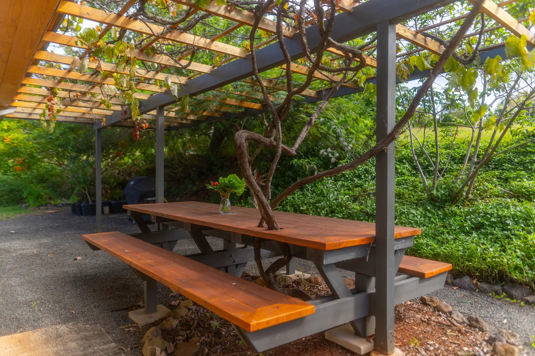 Una mesa de picnic al aire libre está bajo una pérgola frondosa en un jardín.
