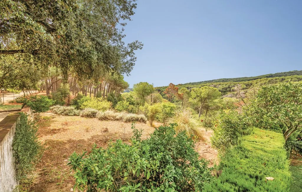 Un jardín ajardinado con arbustos, árboles y un sendero entre la vegetación.