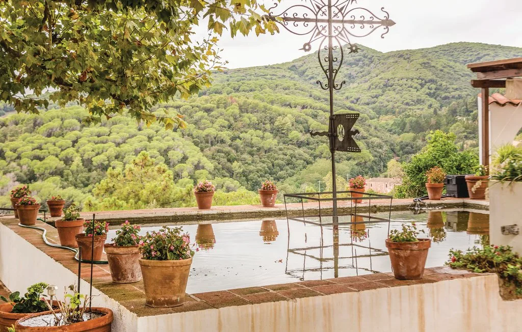 Una terraza con plantas en macetas tiene vistas a una ladera verde y arbolada.