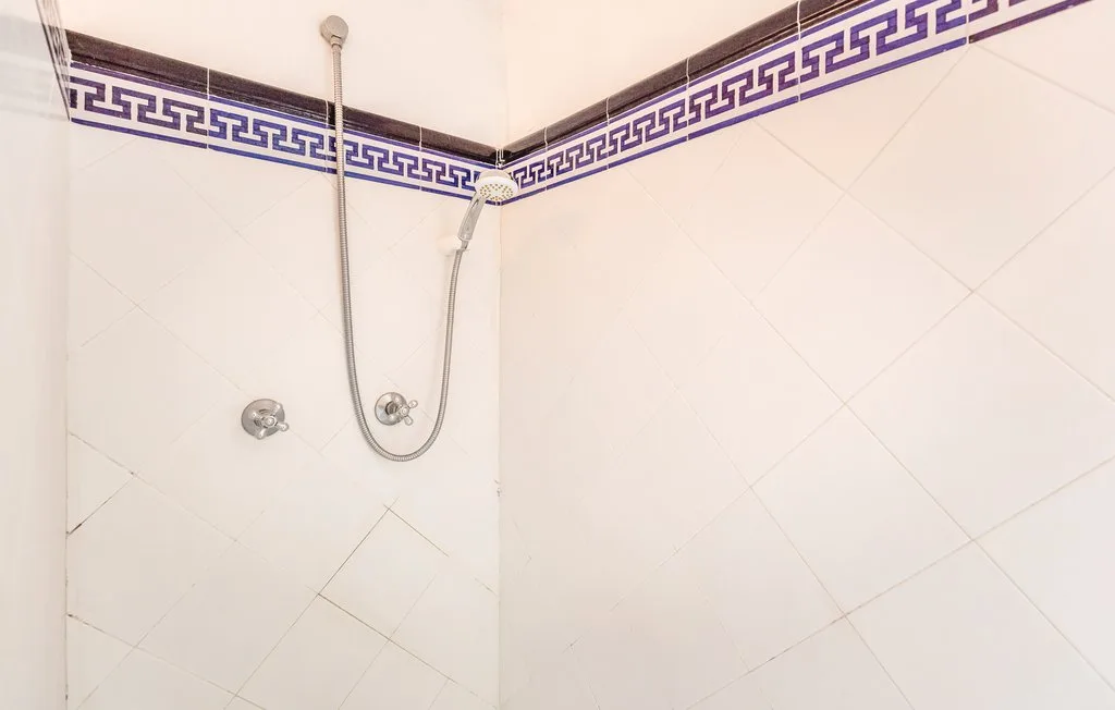 Una ducha alicatada con cabezal de mano y una cenefa decorativa.
