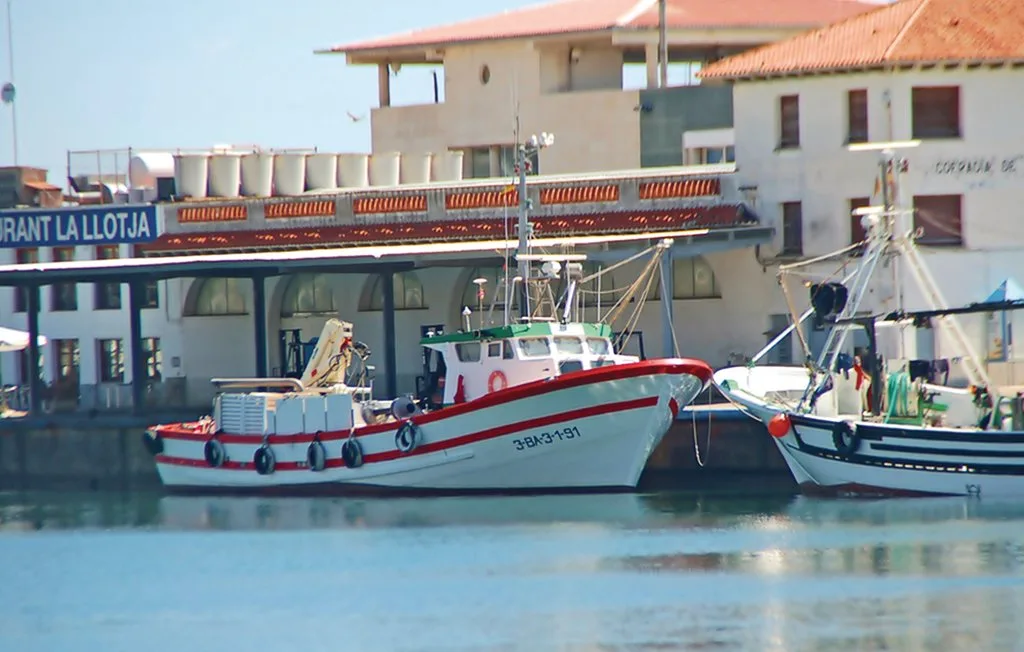 Barcos de pesca están amarrados junto a un edificio frente al agua en un puerto.