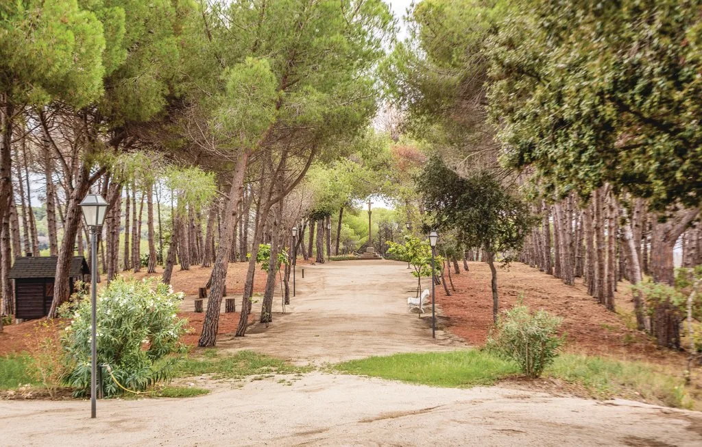 Un camino de arena atraviesa una zona arbolada bordeada de árboles y arbustos.