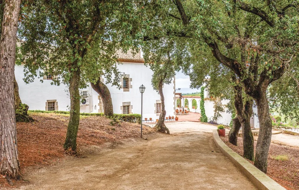 Un sendero de tierra bordeado de árboles conduce a edificios blancos y un patio.
