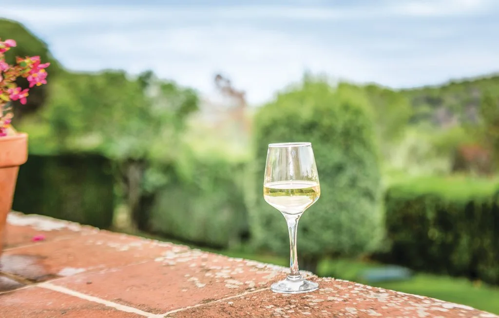 Una copa de vino está sobre un patio de ladrillo con vistas a un jardín verde.