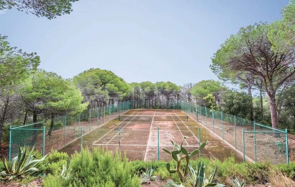 Una cancha de tenis al aire libre está rodeada de árboles y vallas verdes.
