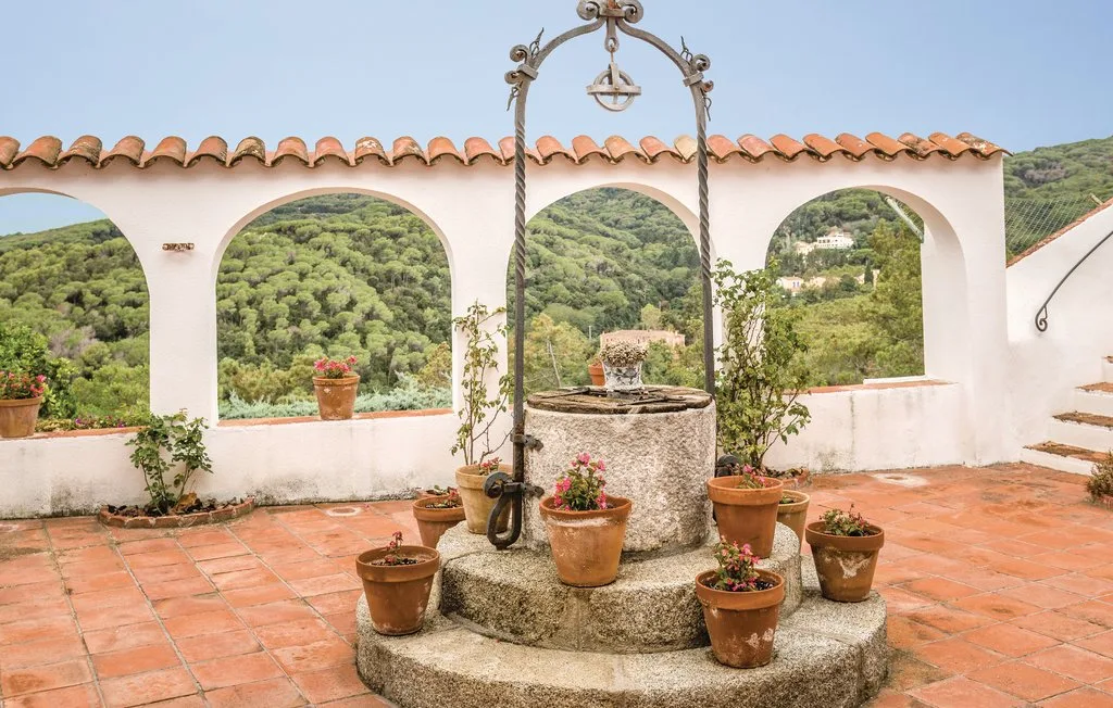 Una terraza de baldosas tiene un pozo de piedra rodeado de plantas en macetas.
