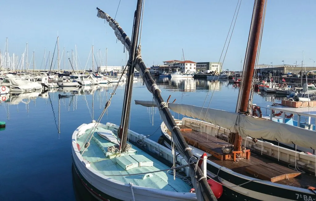Veleros están amarrados en un puerto deportivo, con mástiles reflejados en el agua tranquila.