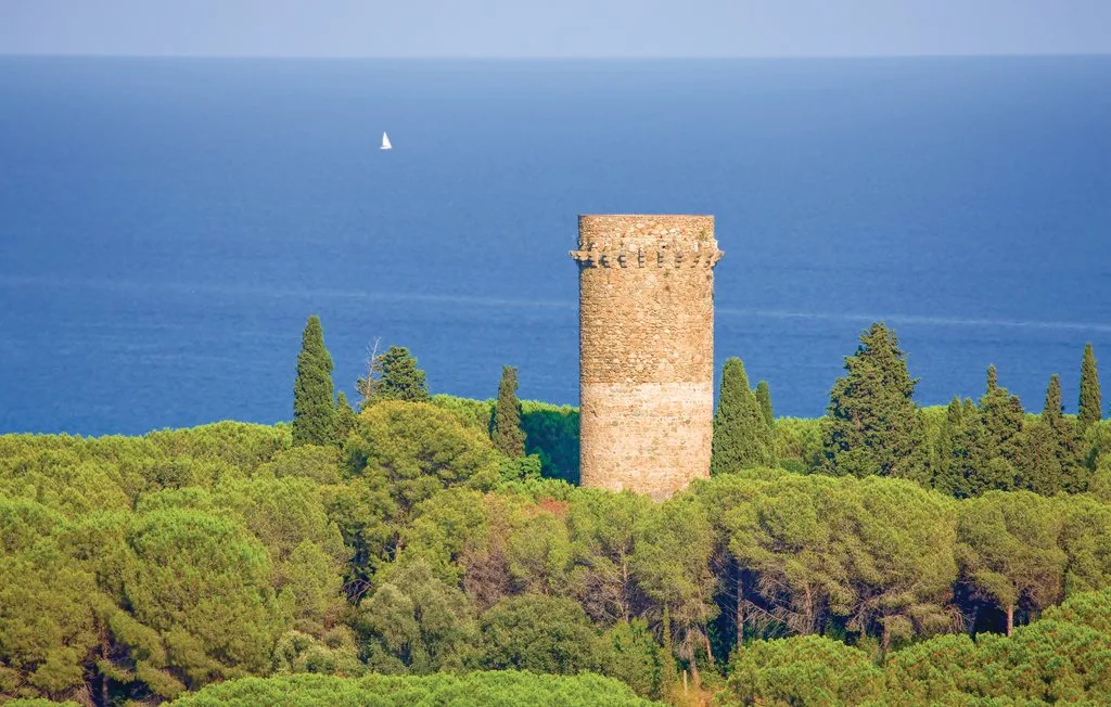 Una torre de piedra se eleva sobre un bosque verde, con el mar al fondo.