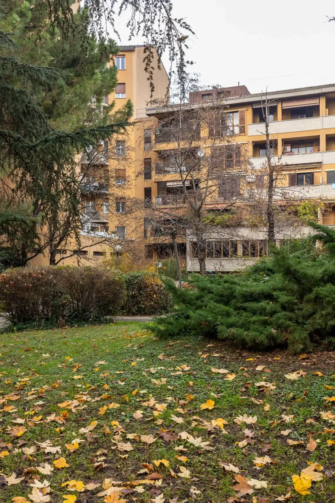 An apartment building stands behind a leafy garden scattered with fallen leaves.