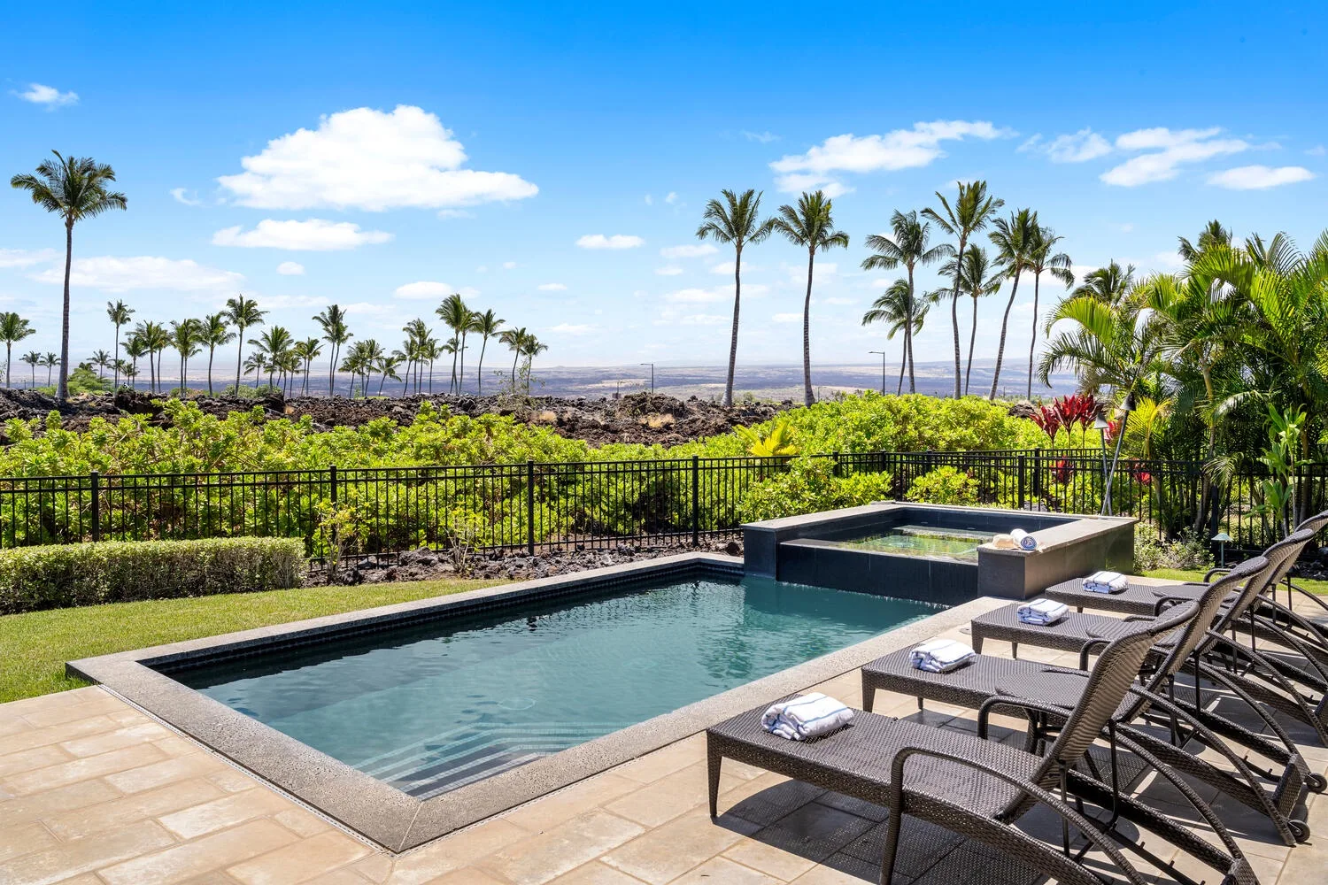 Una piscina exterior y un spa elevado junto a asientos de descanso, con palmeras al fondo.