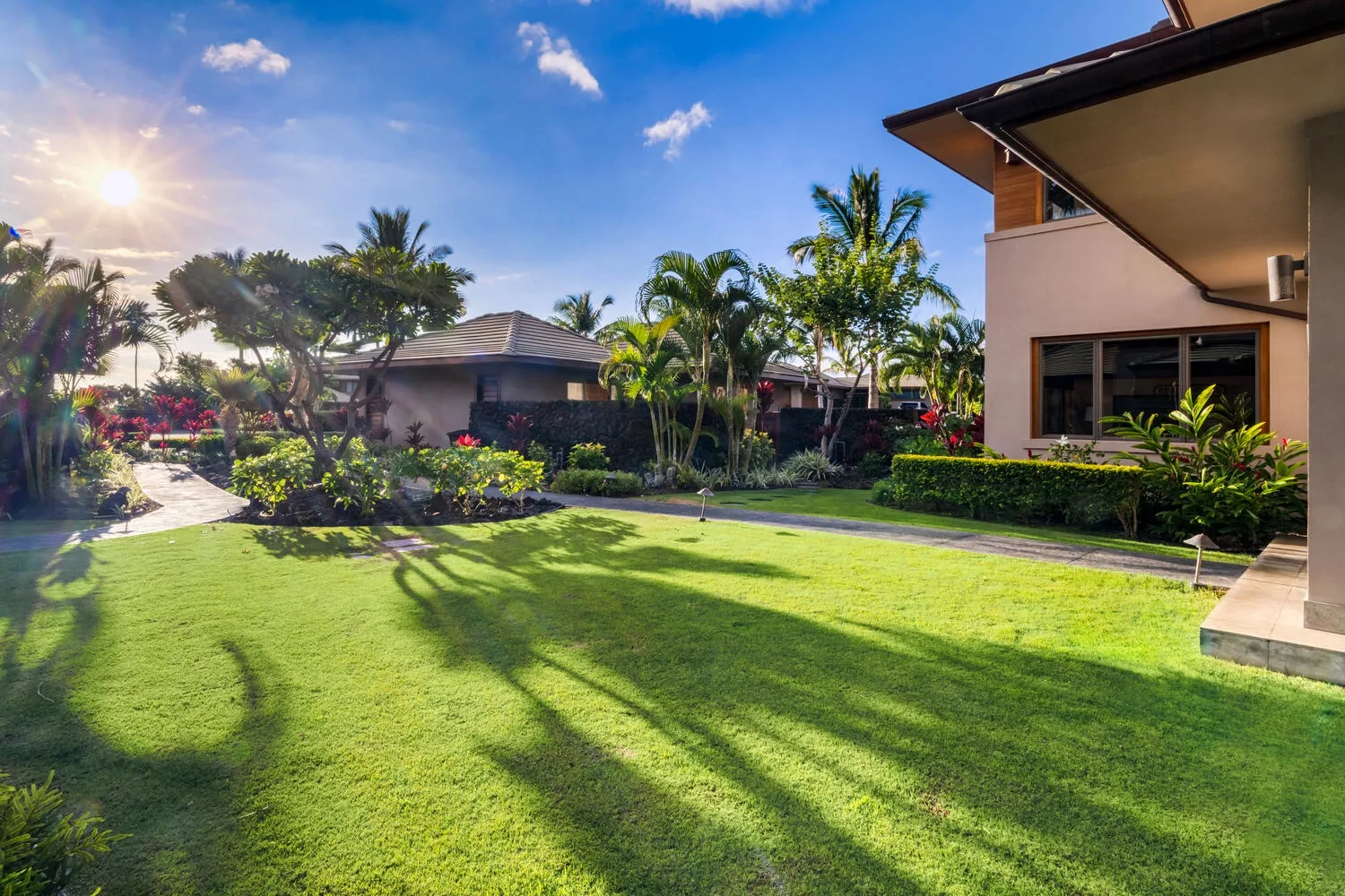 Un jardín exterior con césped amplio, plantas tropicales y edificios cercanos.