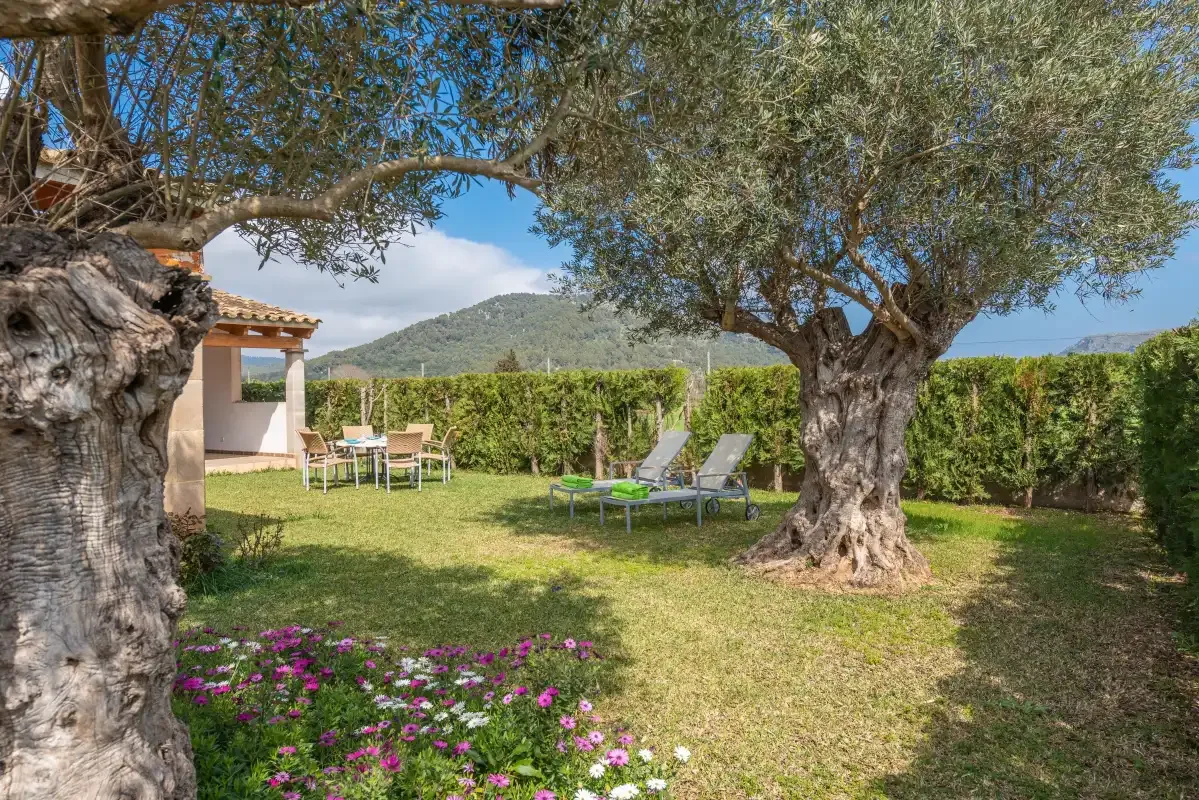 A landscaped garden with outdoor seating beneath mature trees.