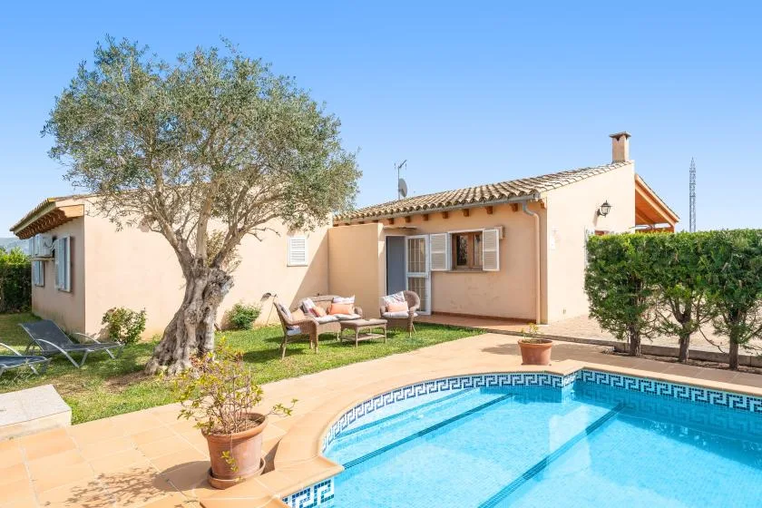 A house and swimming pool sit beside a sunny patio and leafy tree.