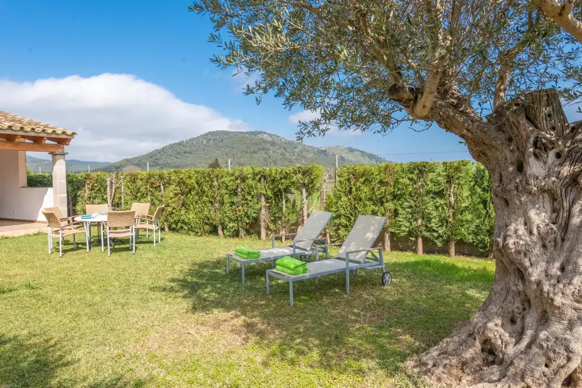 A garden patio has outdoor seating and sun loungers beside a leafy hedge.