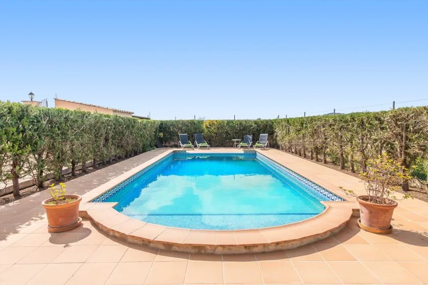 An outdoor swimming pool is surrounded by a paved patio and tall hedges.
