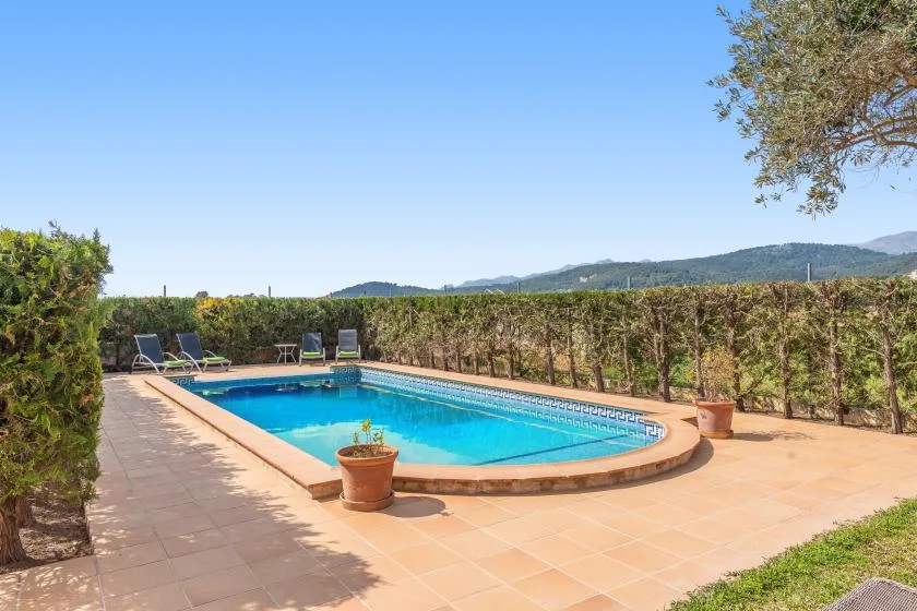 Outdoor swimming pool surrounded by a tiled patio and leafy hedges.