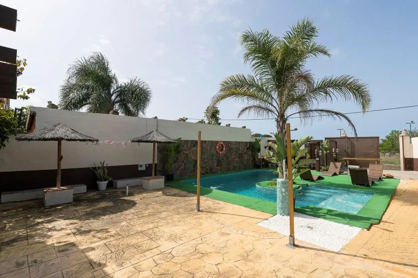 An outdoor swimming pool sits beside a paved patio and palm trees.
