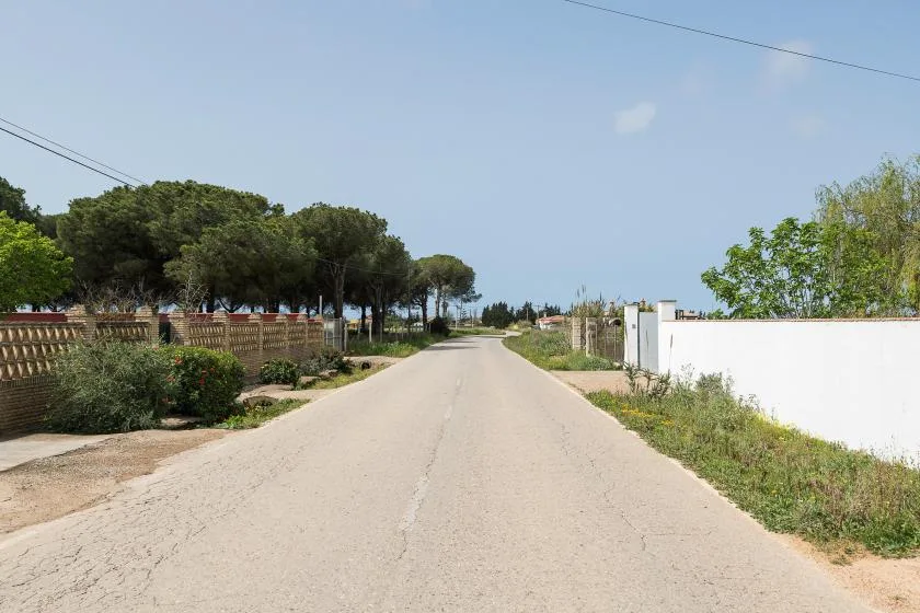 A paved road runs between trees and a white wall under a clear sky.