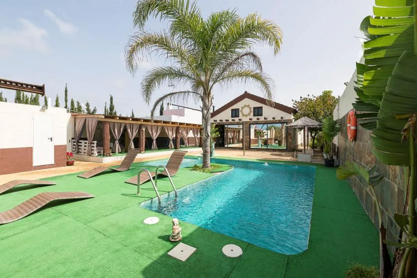 An outdoor pool sits beside a green deck and palm tree.