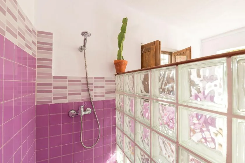 A tiled bathroom with a handheld shower and a glass-block partition.