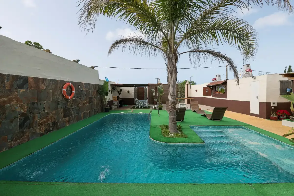 An outdoor swimming pool curves around a palm tree beside a stone wall.