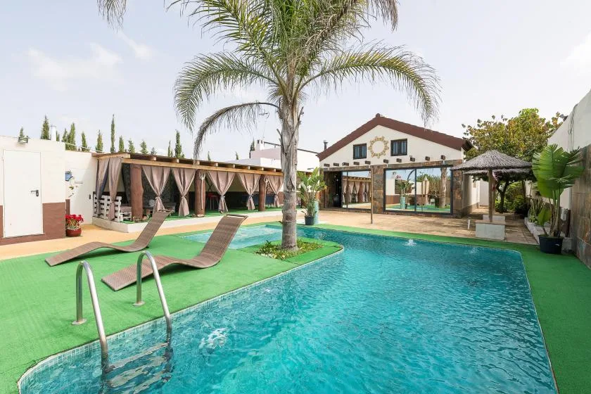 Outdoor pool beside a palm tree and a row of curtained seating areas.