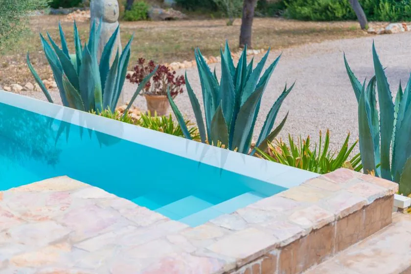 Una pequeña piscina exterior de agua turquesa está junto a un pavimento de piedra y plantas puntiagudas.