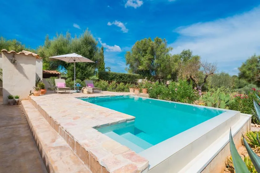 Una piscina está junto a una terraza pavimentada con piedra y vegetación.