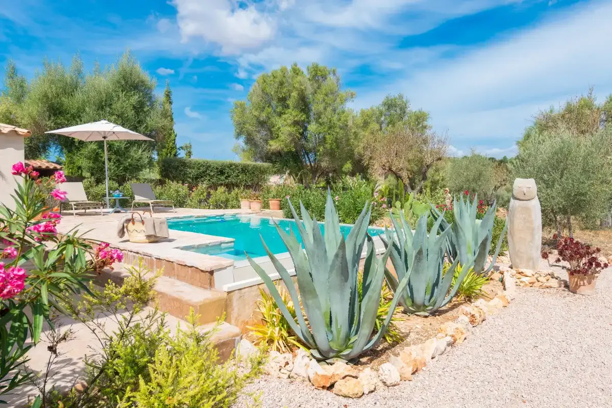 Una piscina al aire libre está rodeada de plantas y árboles.
