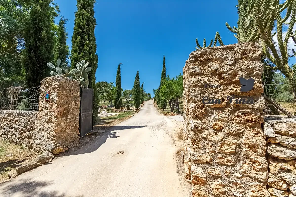 Un camino soleado pasa entre pilares de piedra y hileras de árboles.